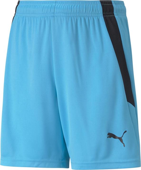 Image du produit Puma short teamLIGA Jr-704931 (140)