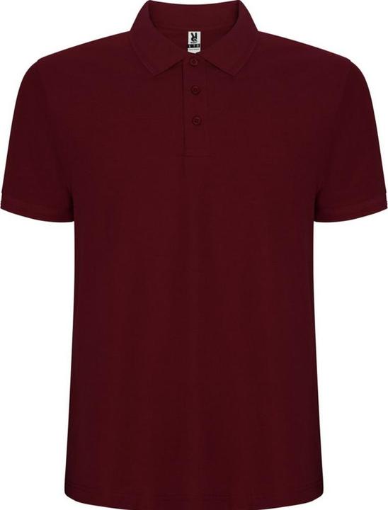 Actual product image Alpinia Mens Pegaso Premium Short-Sleeved Polo Shirt (3XL)