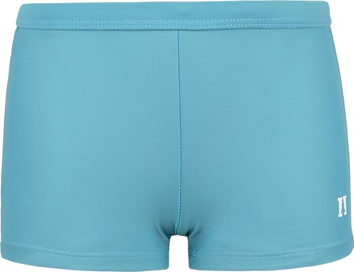 Heber Peak Kid's SeapineHe. Swimtrunks