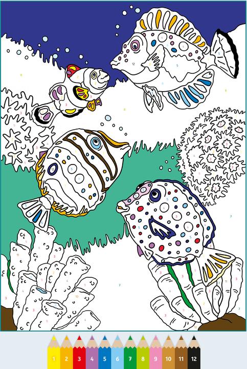 Actual product image Ravensburger CreArt Painting by numbers from 7: In the sea, colouring book, 24 motifs
