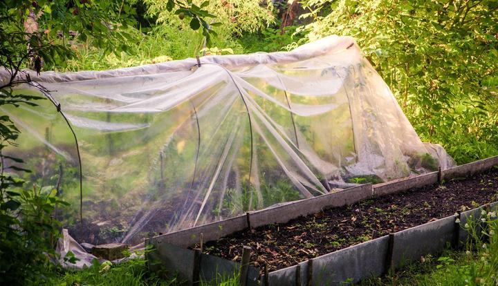 Immagine prodotto Aquagart 2m Gartenfolie Gewächshausfolie UV 5 Frühbeetfolie Treibhausfolie 8m breit