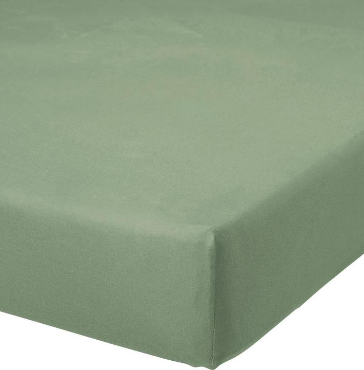 Buona Notte Jersey Fixleintuch (90 x 200 cm, 100 x 200 cm)