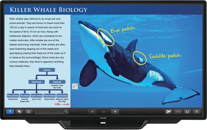 Sharp BIG PAD PN-80TC3 - 203.2 cm (80") diagonal class LED display - interactive - with (1920 x 1080 pixels, 80")