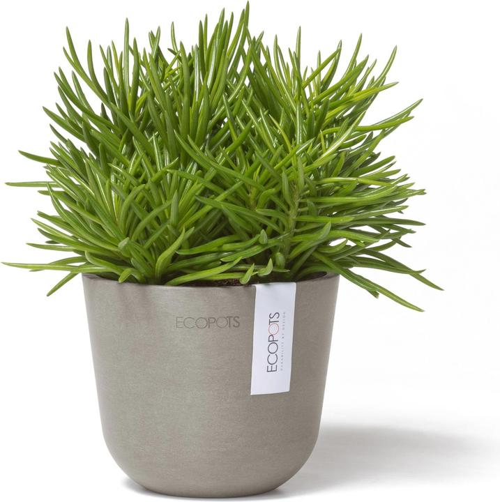 Produktbild Ecopots Oslo Mini (11.50 cm)