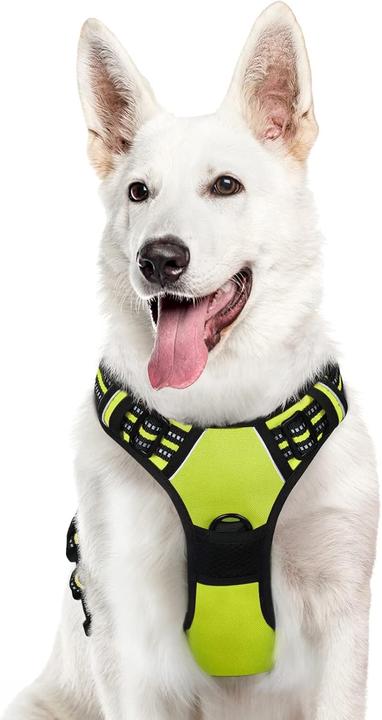 Actual product image Eagloo Dog harness (XL, Dog, General, Walks)