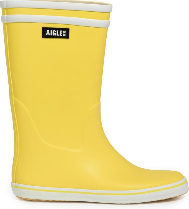 Aigle Malouine 2