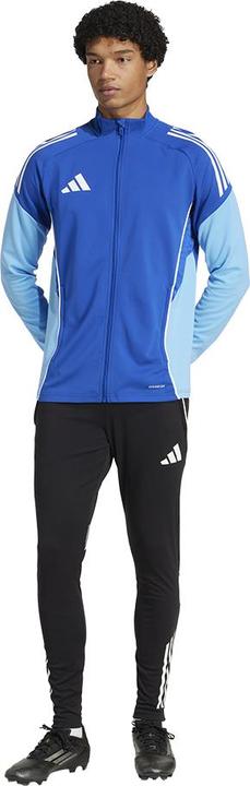 Actual product image adidas Tiro 25 Competition training jacket (M)