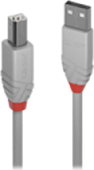 Produktbild Lindy USB/A-USB/B M-M (2 m, USB 2.0)