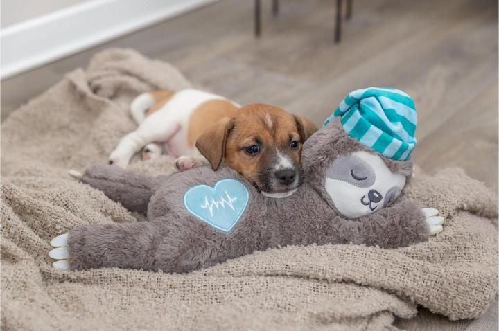 Produktbild Trixie Faultier mit Herzschlag (Kauspielzeug Hund)