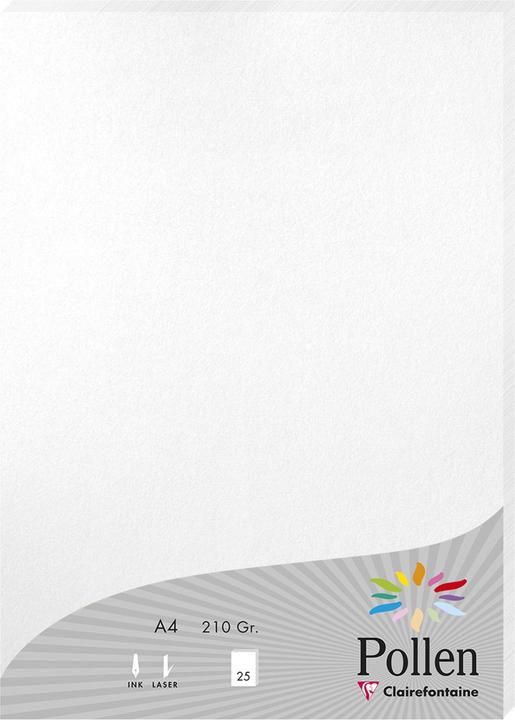 Immagine prodotto Pollen Carta (210 g/m², 25 x, A4)