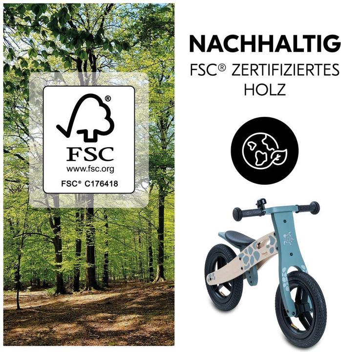 Image du produit Hauck Balance N Ride (12")