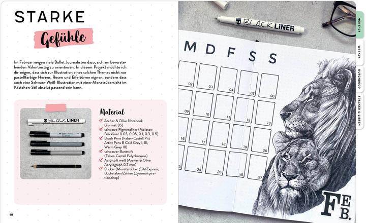 Actual product image Bullet Journal – zeichnen und illustrieren (German, Susanne Boehmer-Hoops, 2021)