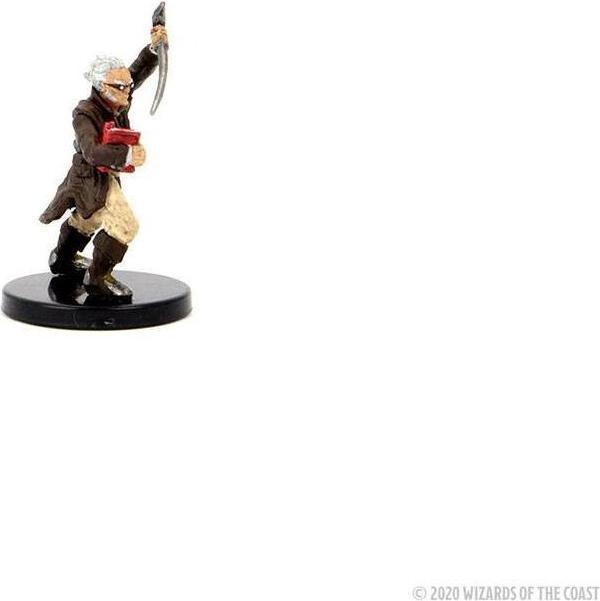 Actual product image Wizkids D&D Icons of the Realms : Curse of Strahd miniatures Legends of Barovia Premium Box Set