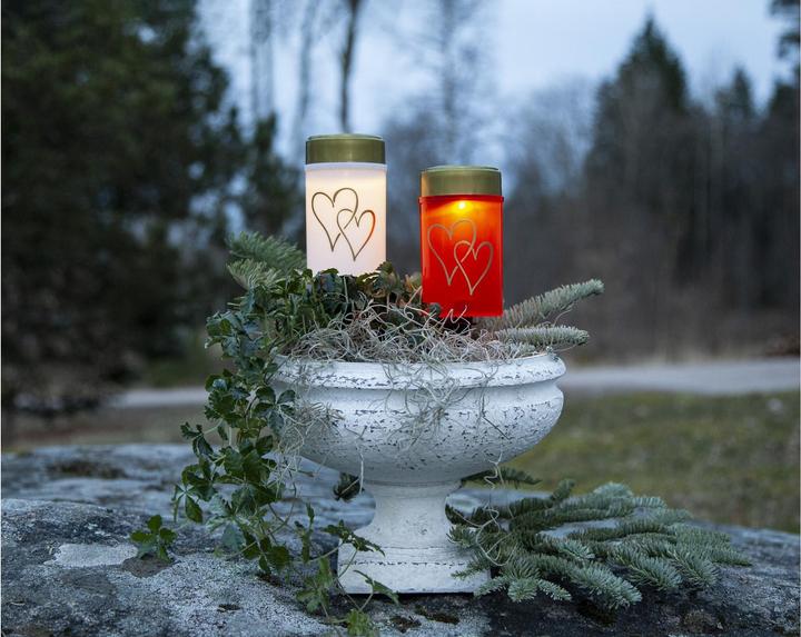 Actual product image Star Trading Hearty (1 x)