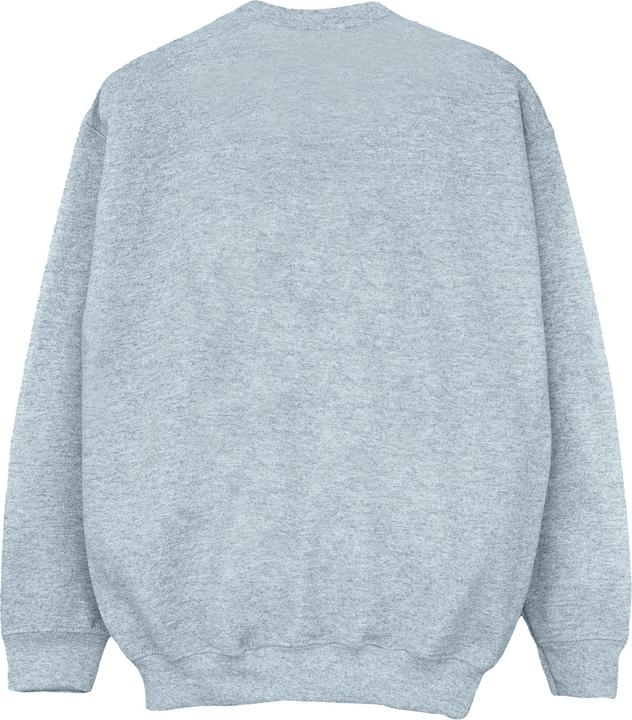 Produktbild Disney The Aristocats Double Trouble Sweatshirt Jungen (152, 158)