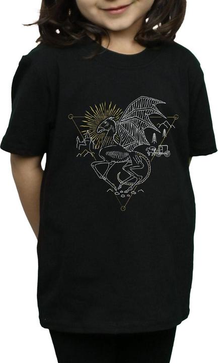 Image du produit - T-shirt THESTRAL LINE ART - Fille (128)