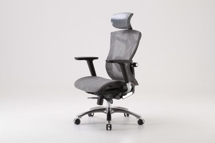 Produktbild Sihoo V1 Ergonomic Office Chair, gray