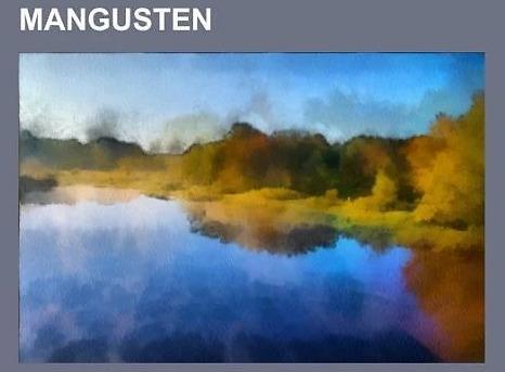 Image du produit Mangusten (Allemand, Books LLC, 2014)
