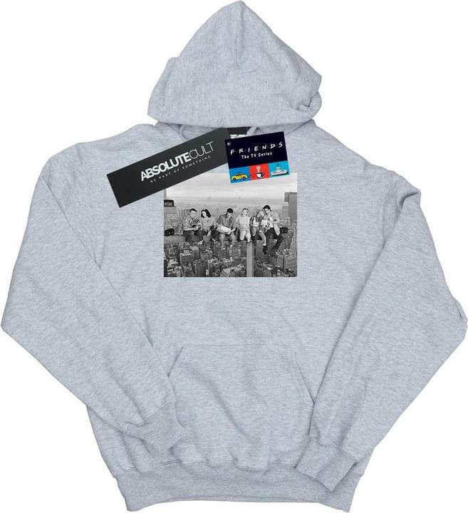 Produktbild Friends Construction Photo Kapuzenpullover (M)