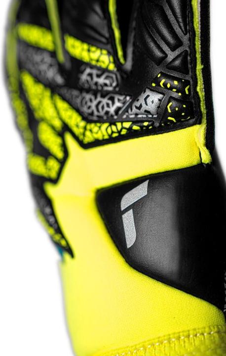 Actual product image Reusch Goalkeeper glove Attrakt Gold X Evolution (9.5)