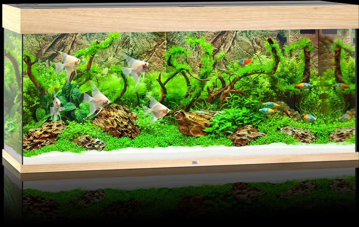 Image du produit Juwel Aquarium Rio (240 l)