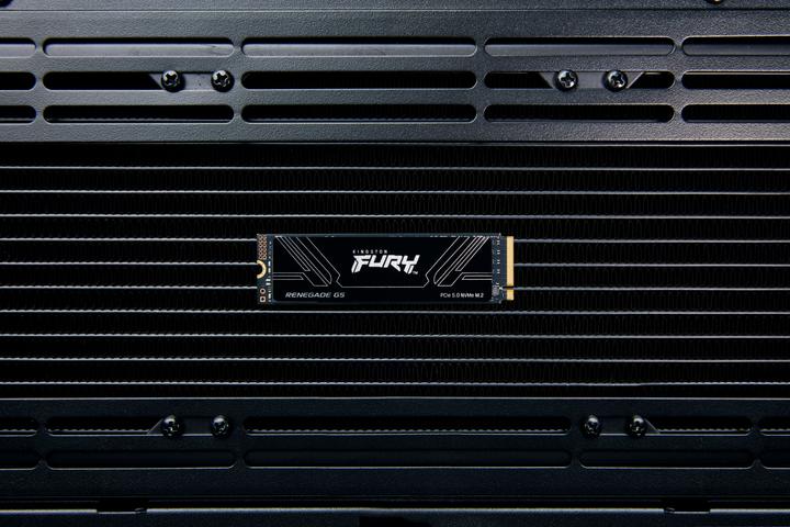Immagine prodotto Kingston FURY Renegade G5 (1024 GB, M.2 2280)