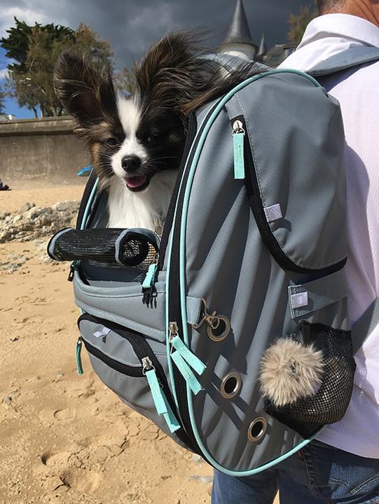 Actual product image Nobby Animal Transport Backpack Nomad, Grey (Dog, Cat, Breathable)