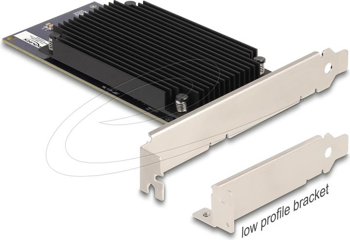 Produktbild Delock PCI Express x8 Hailo-8 AI Prozessor x2 KI-Beschleunig