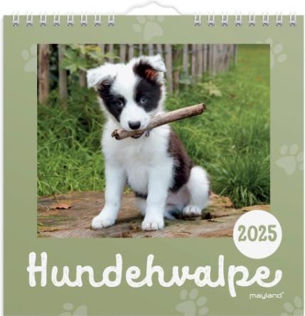 Mayland-Burde Vaegkalender mini Hundehvalpe 2025