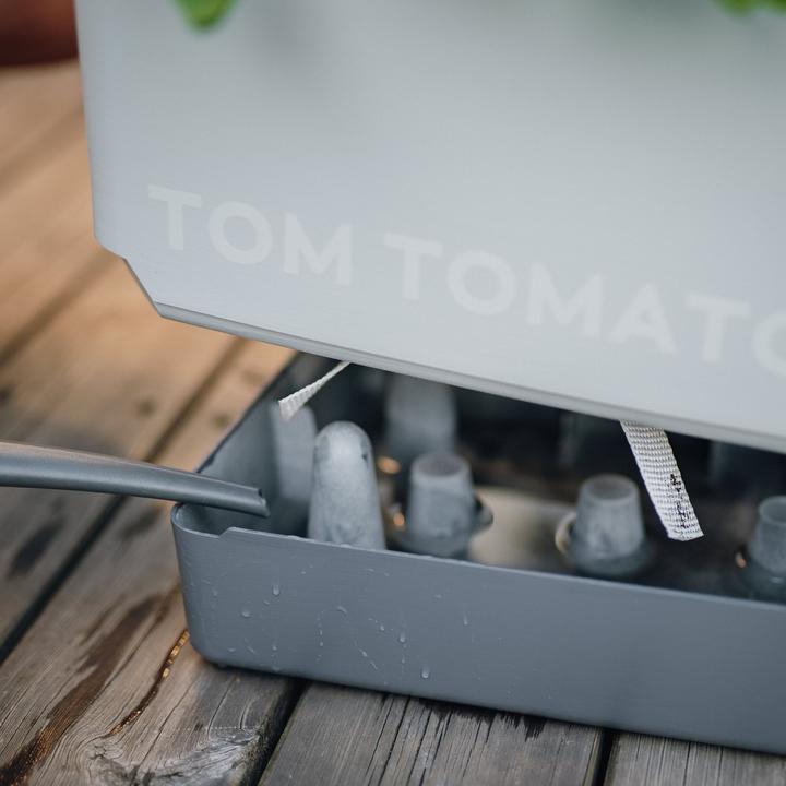 Image du produit Gusta Garden Tom Tomato (35 cm)