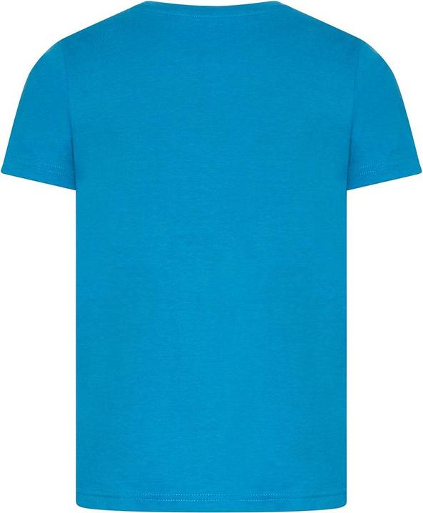 Immagine prodotto Awdis Tshirt Cascades in cotone organico (140, 146)