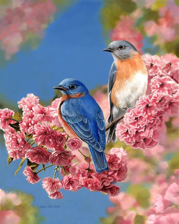 Immagine prodotto Figured'Art Dipingere con i Numeri - Coppia di Uccelli Blu