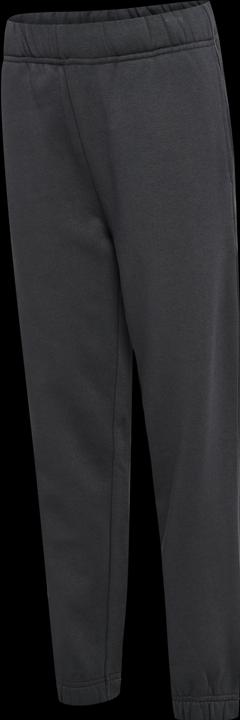 Image du produit hummel hmlALVIN PANTS (146)