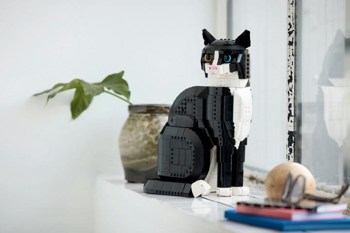 Productafbeelding LEGO Vertrouwelijk (21349, LEGO Ideeën, LEGO Zeldzame Sets)