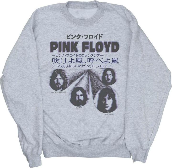 Actual product image Pink Floyd Womens/Ladies Japanese Cover Sweatshirt (XXL)