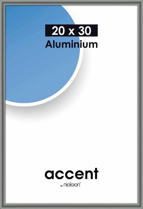 Gris acier