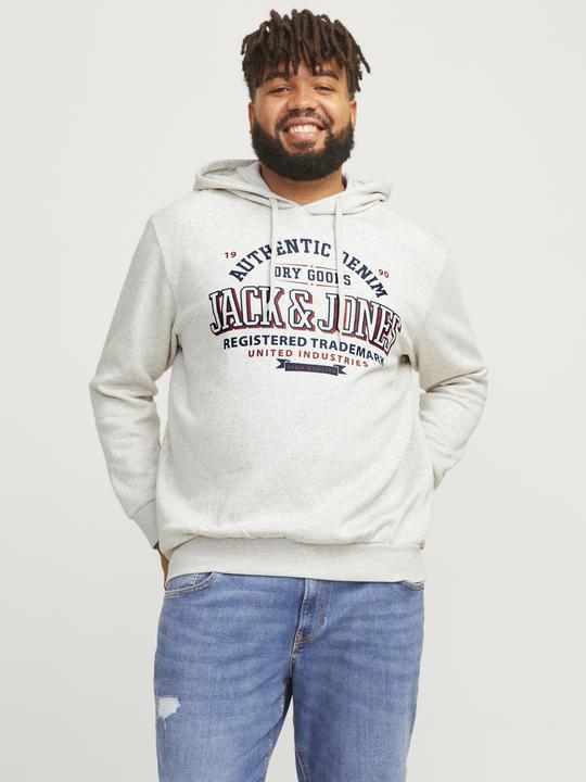 Immagine prodotto Jack & Jones JJELOGO SWEAT HOOD 2 COL 24/25 NOOS PLS (5XL)