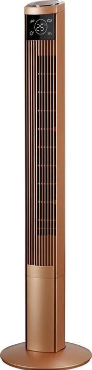 Actual product image Biswind Tower fan (50 dB)