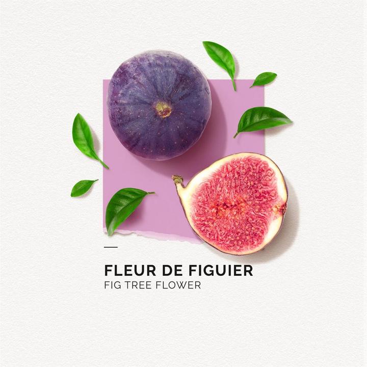 Actual product image Solinotes Paris Solinotes - Fleur De Figuier Eau De Parfum (Eau de parfum, 50 ml)