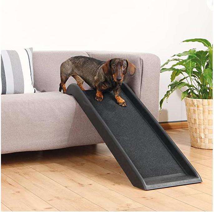 Actual product image Trixie Glasny (Dog)