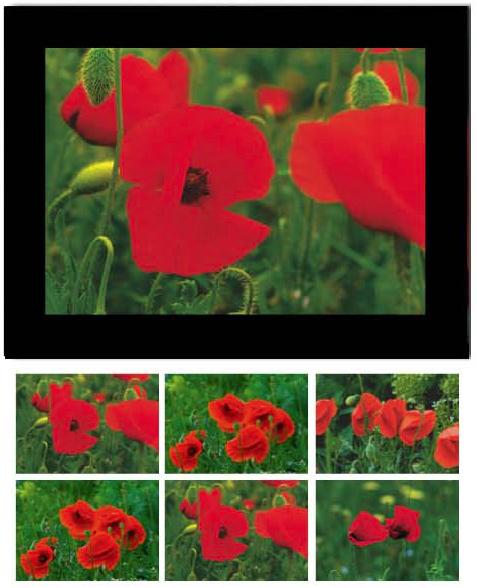 Produktbild Baback Haschemi Doppelkarten-Böxli 818 MOHNBLUMEN (1 Stk.)