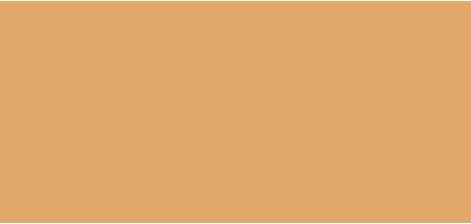 Laura Mercier Tinted Moisturizer ( Oil Free Natura l Skin Perfector) 50 ml - Shade: 4N1 Wheat (4N1 Wheat)