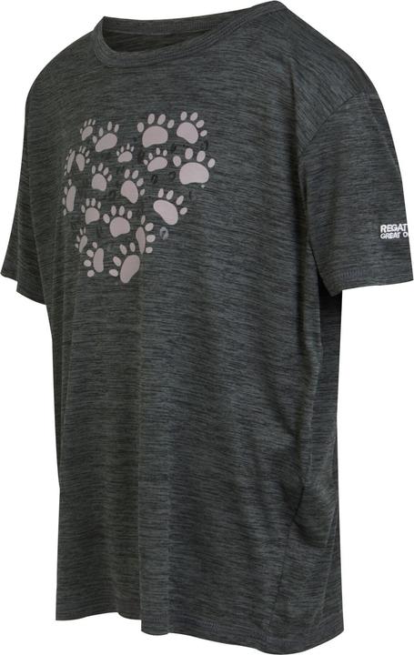 Produktbild Regatta Alvardo VIII TShirt (146, 152)