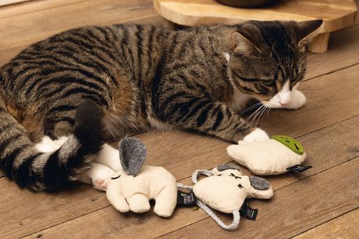 Immagine prodotto Beeztees Elefante giocattolo per gatti Minus One (Catmint giocattolo)