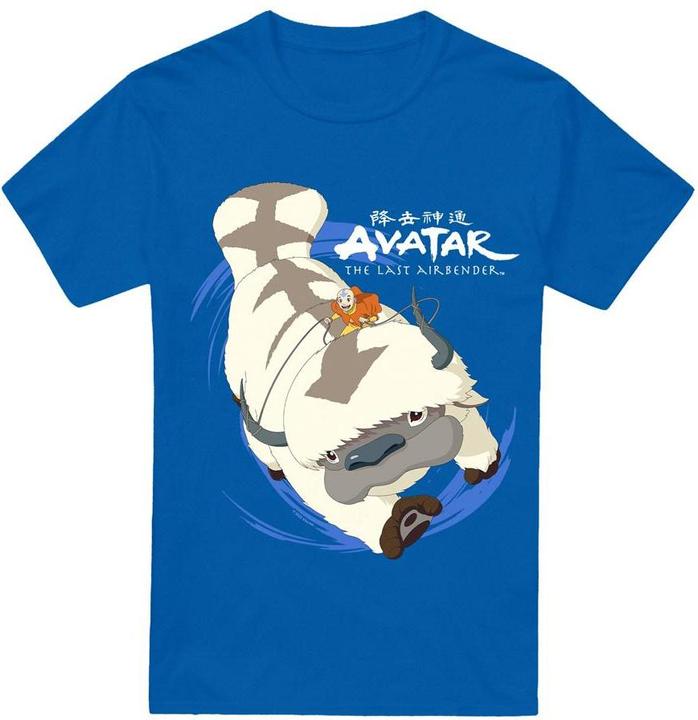 Avatar: The Last Airbender In Flight TShirt (M)
