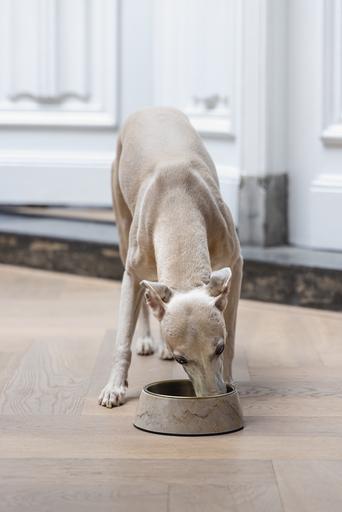 Actual product image Designed by Lotte Dog bowl Meis (0.35 l)