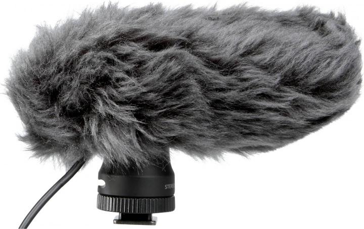 Actual product image Panasonic Vw-Vms10e
