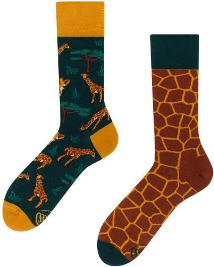 Many Mornings The Giraffe