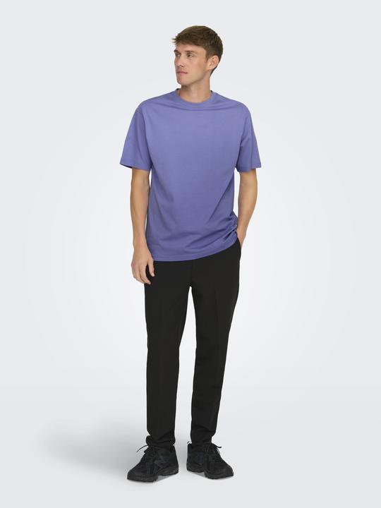 Immagine prodotto Only & Sons T-shirt a girocollo loose fit (L)
