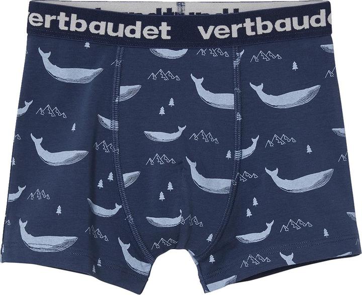 Actual product image Vertbaudet Underwear Bottom (152, 5-pack)